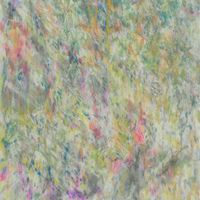 艺术家作品