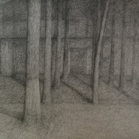 艺术家作品